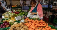 Los Mercados Campesinos de Bogotá se toman la ciudad hasta el 30 de septiembre