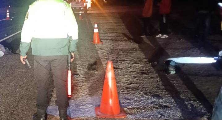 Carretera Panamericana Sur: Dos personas murieron en choque y atropello
