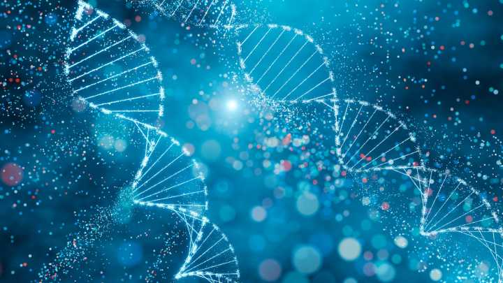 Fulgent Genetics: Growth Re-Acceleration And Gross Margin Expansion On Track