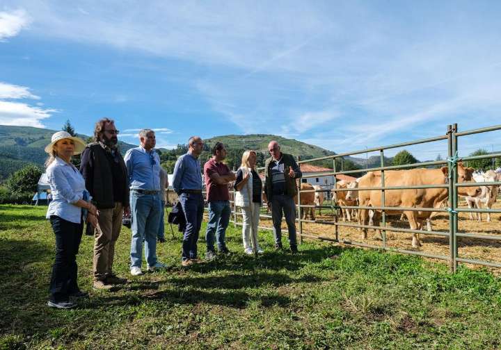 La feria de Riotuerto congrega a 900 animales de 25 ganaderías