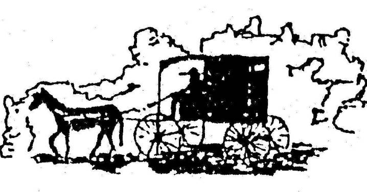 Amish Cook: Gloria and the family go horseback riding