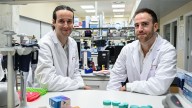 Descubierta la clave que descifra el origen del cáncer y permite anticipar su evolución