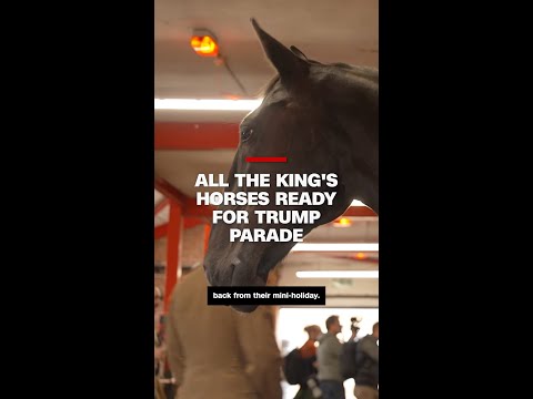 All the king's horses ready for Trump parade