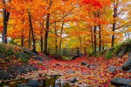 AccuWeather Forecasts Brilliant But Brief Indiana Fall Foliage