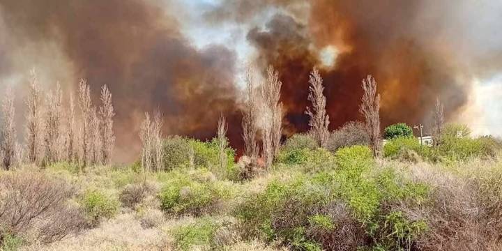 Un incendio en La Rioja consumió 14 hectáreas e investigan si fue provocado: hay tres detenidos