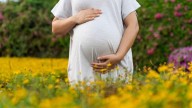Más de 7.700 bebés han nacido en Galicia en los siete primeros meses de 2025