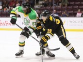 Sarnia Sting face tough roster decisions