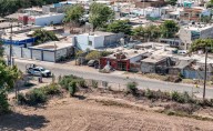 Asegura la Defensa en tres estados drogas con valor estimado de al menos $117 millones