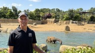Cincinnati Zoo's Thane Maynard transitioning to new role