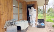 Descubren cadáver devorado por perros en Putaendo