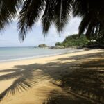 UNESCO designates 26 new biosphere reserves amid biodiversity challenges and climate change