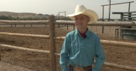 12-year-old Eagle bull rider heads to world finals after qualifying among top 36 globally