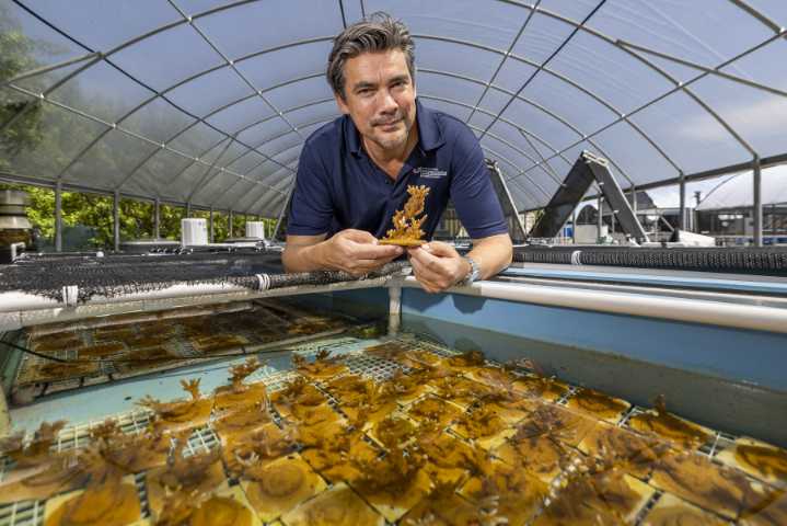 Best shot to save Florida reefs? An industrial factory making heat