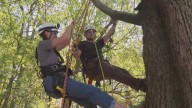 Betsy Kling learns the ropes of climbing tree like an arborist: Growing STEM