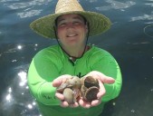 Pasco Scallop Zone Reopens Following Algae