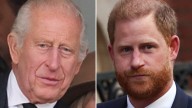 King Charles, Prince Harry reunite for first time in 19 months
