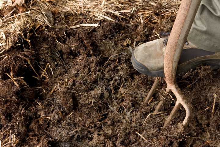 Murphy signs bill making New Jersey the latest state to legalize human composting