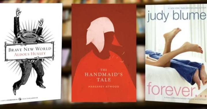 Alberta’s school book removals spark backlash from educators, authors, students