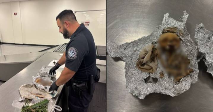 ¿Para rituales? Encuentran huesos humanos en maleta en aeropuerto de Florida