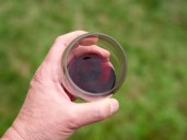 Para tener en cuenta durante las Fiestas Patrias: qué vino queda mejor con cada comida típica