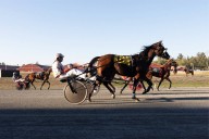 LETTER: Loss of Fraser Downs is a 'tragedy'