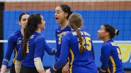 Girls volleyball notebook: Opening Week headlines & can’t