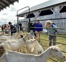 Look out for these unusual events at this year’s Common Ground fair