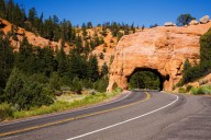 The Great American Road Trip: 7 Routes You Haven't Driven Yet