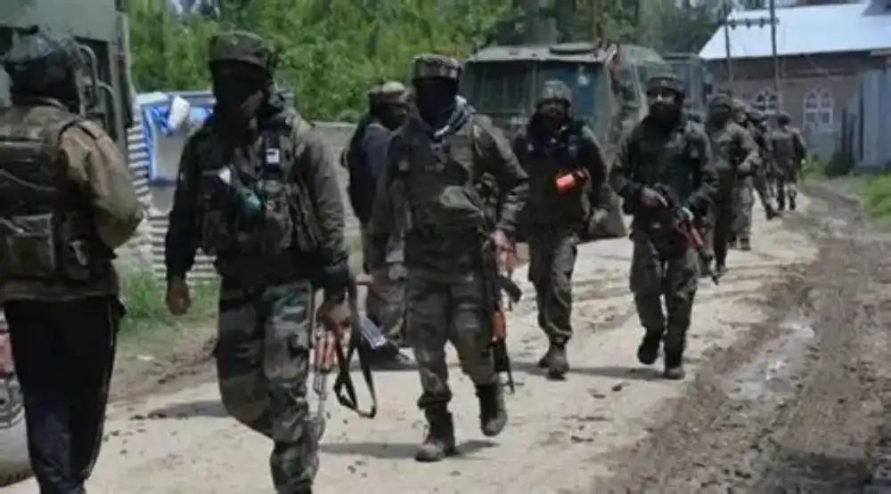 South Kashmir: Hideout Busted During CASO
