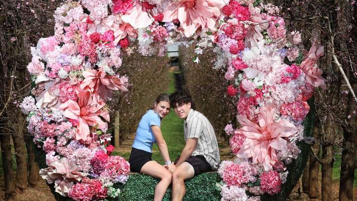 Cold start to spring means bright colours set to stick around for S&R Orchard Blossom Festival