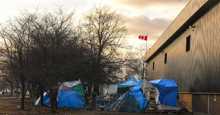 Shelters in Canada see an increase in seniors experiencing homelessness