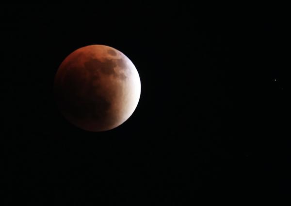 Eclipse total de Luna: el fenómeno ya se puede ver en varias partes del mundo