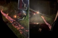 Flaming Water Fills Ditch After Hand Sanitizer Warehouse Fire: Video