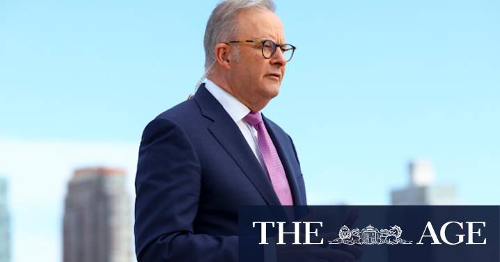 Anthony Albanese urges world leaders to recognise Palestine, disarm Hamas and revive two