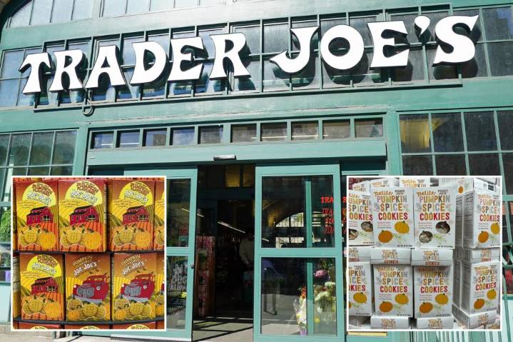 The best Trader Joe's fall items for 2025, according to fans