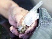 Opinion: Banning public drug use is bold, courageous and obvious