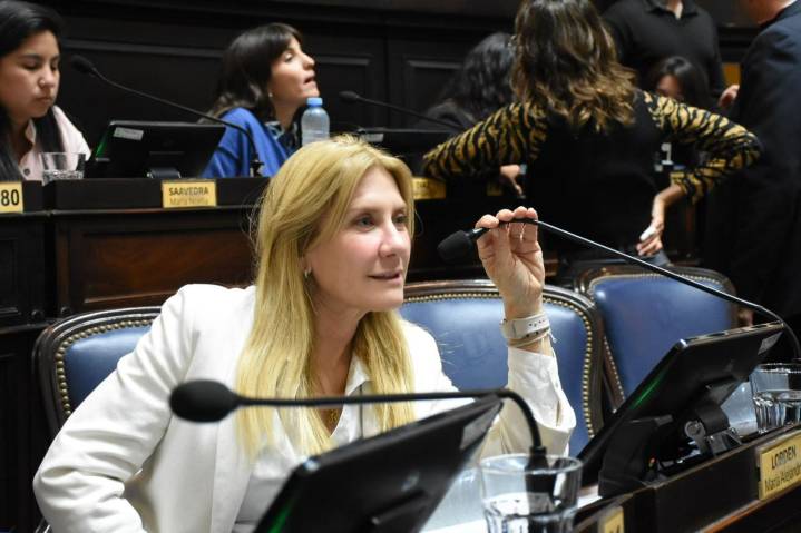 “Establecer un marco regulatorio para el trabajo de los Acompañantes Terapéuticos es primordial»
