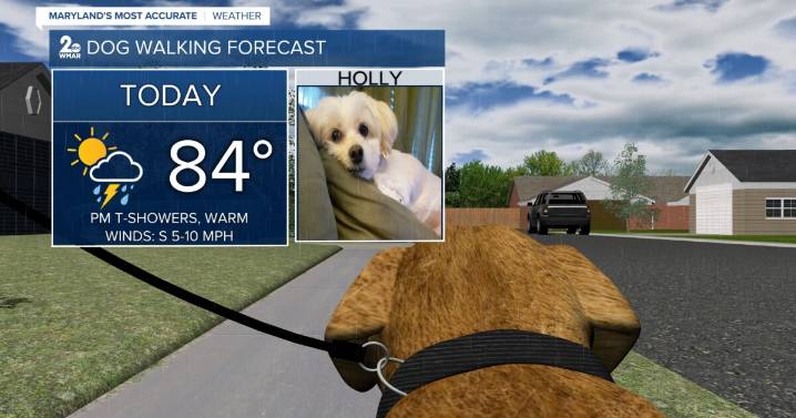 Showers return to the area today!