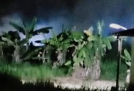Urgente: incendios están enfermando a la gente en Tucupita