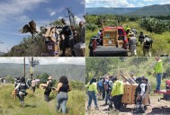 Guardia Nacional libera fauna silvestre en Hidalgo