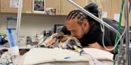 Lewis Hamilton pide oraciones por Roscoe, su fiel compañero en coma