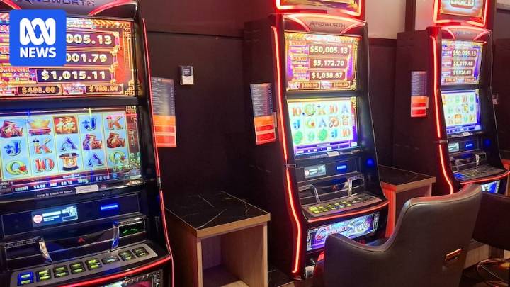 Pokies taking more than $1 million from NSW gamblers every hour