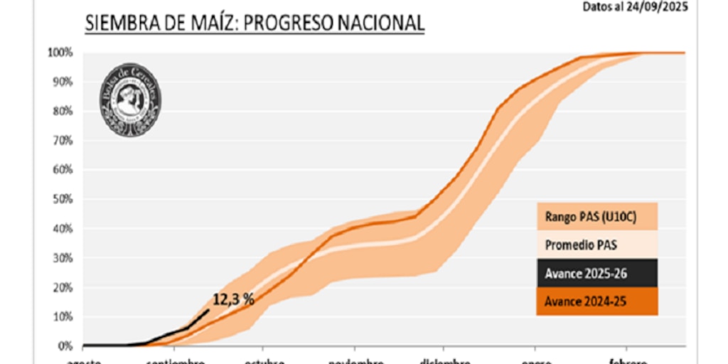 Toma ritmo la siembra de maíz