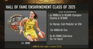 Sue Bird Hall of Fame Red Carpet Interview