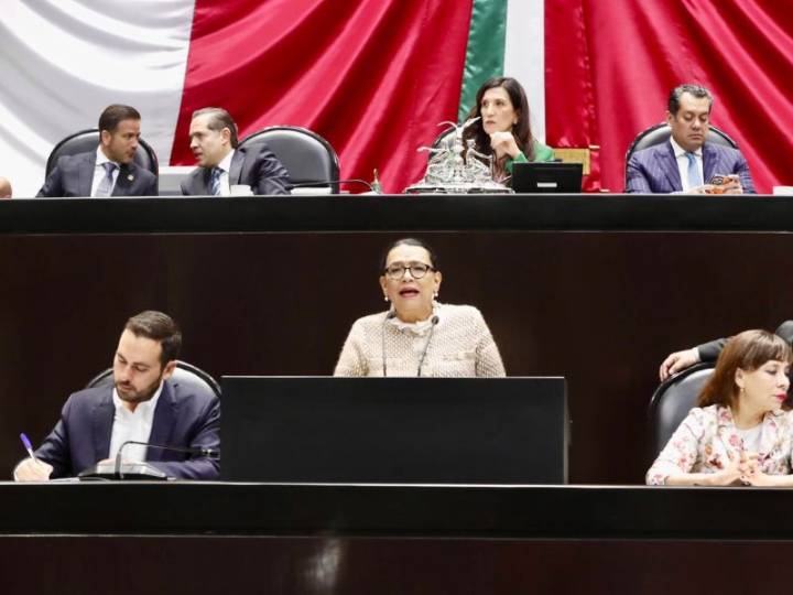 No hay perseguidos políticos: Rosa Icela Rodríguez