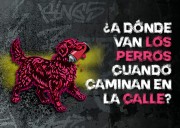 La UDLAP presenta la obra de teatro ¿A dónde van los perros cuando caminan en la calle?