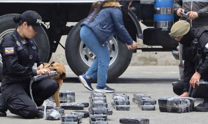 Aseguran cargamento de cocaína en Ecuador con destino a México