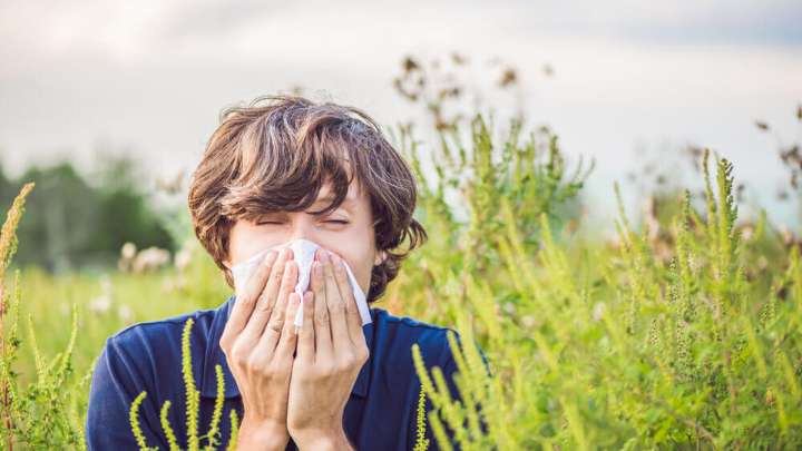 Alergias de primavera: aumentaron un 30 por cierto las consultas por los casos de rinitis