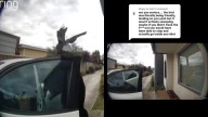 ‘It was pecking at my car window for 30 minutes': A Melbourne woman films her encounter with an aggressive magpie in her Maidstone driveway