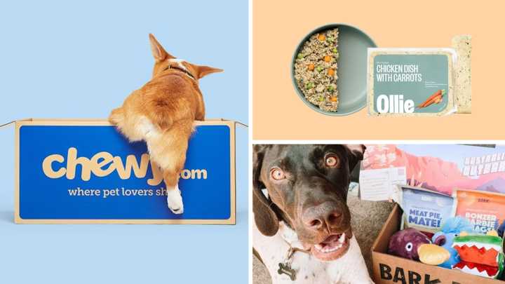 Are you a dog owner? You'll love our top 5 sales for pup parents